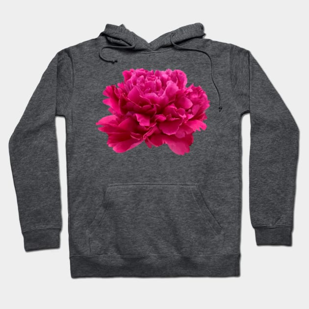 Hot Pink Peony Close-up Hoodie by InalterataArt